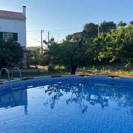 Miraculous Jungle Guest House, Quinta Em Atividade *