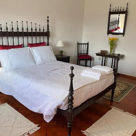 Miraculous Jungle Guest House, Quinta Em Atividade