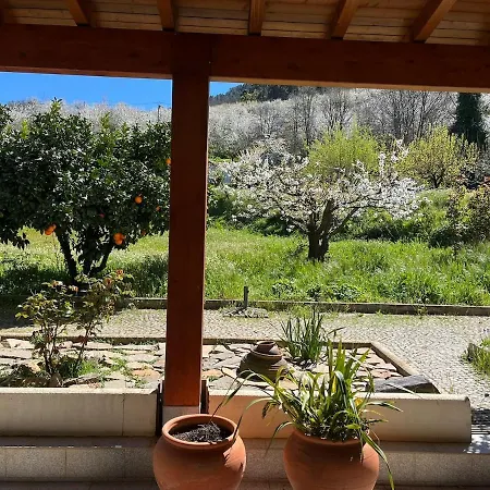 Miraculous Jungle Guest House, Quinta Em Atividade Tatil Evi