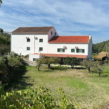 Miraculous Jungle Guest House, Quinta Em Atividade *