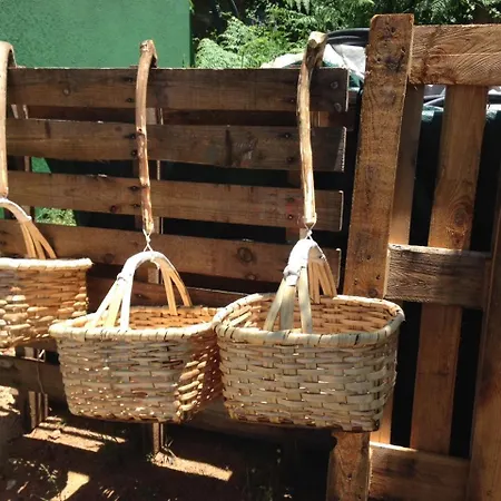 Miraculous Jungle Guest House, Quinta Em Atividade Tatil Evi
