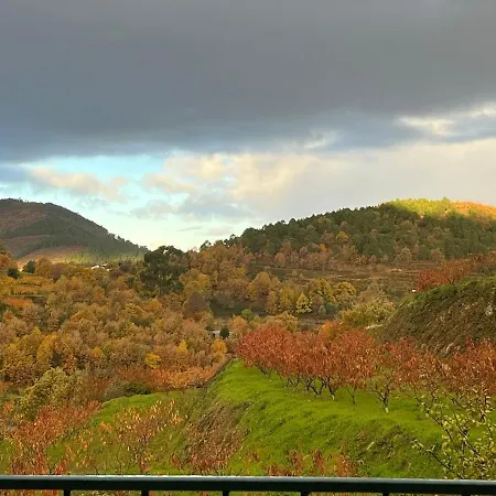 Miraculous Jungle Guest House, Quinta Em Atividade Fundão